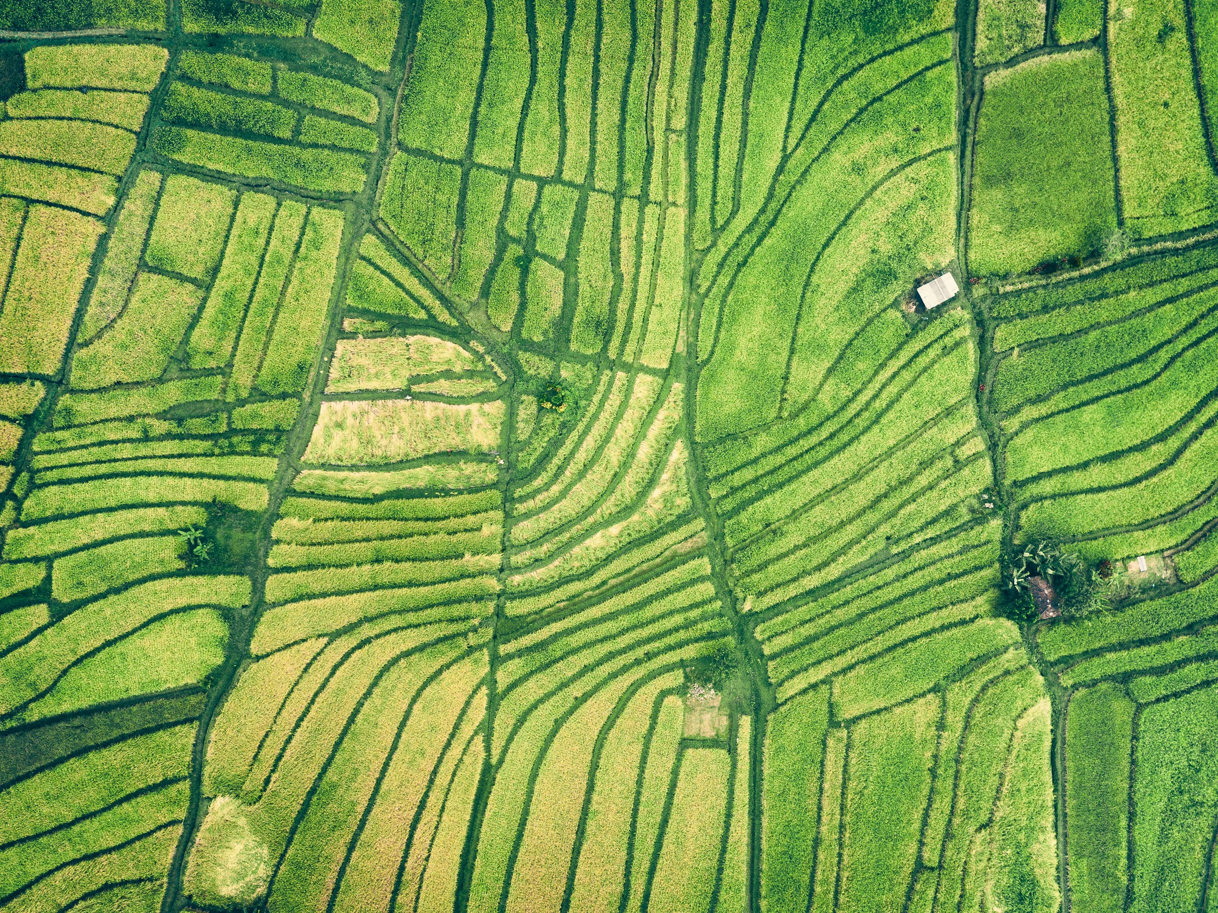 An aerial view of green agricultural fields and the surrounding landscape